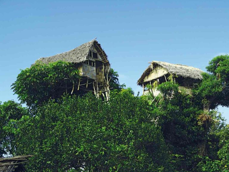 Baumhaus auf der Insel Tanna