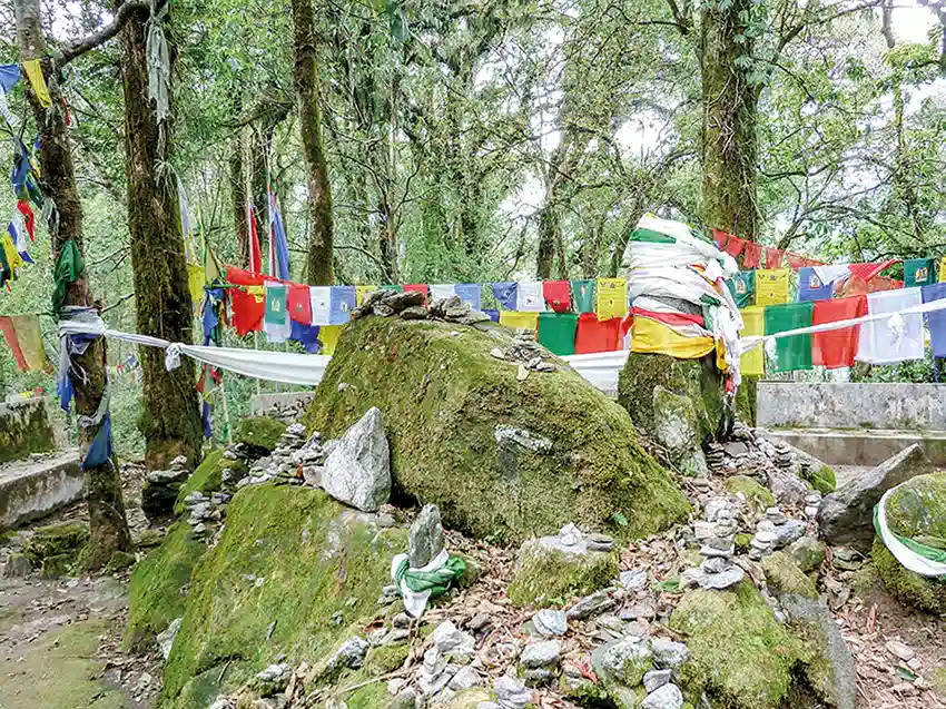 sikkim-waldheiligtum