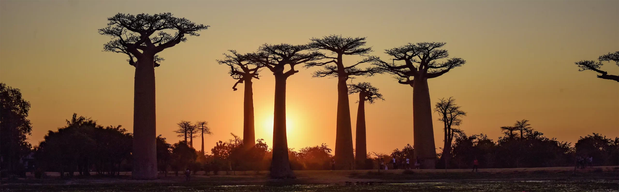 madagaskar-sonnenuntergang-natur