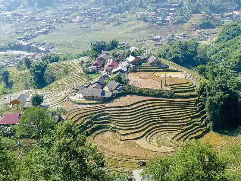 vietnam-hochland-reisterrassen