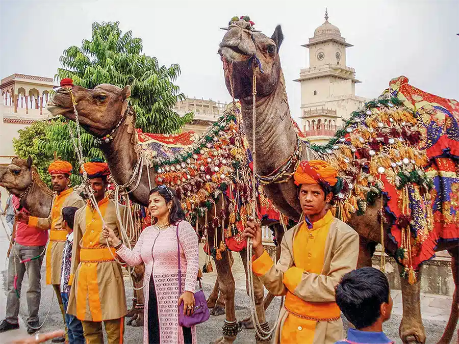 indien-rajasthan-kamele