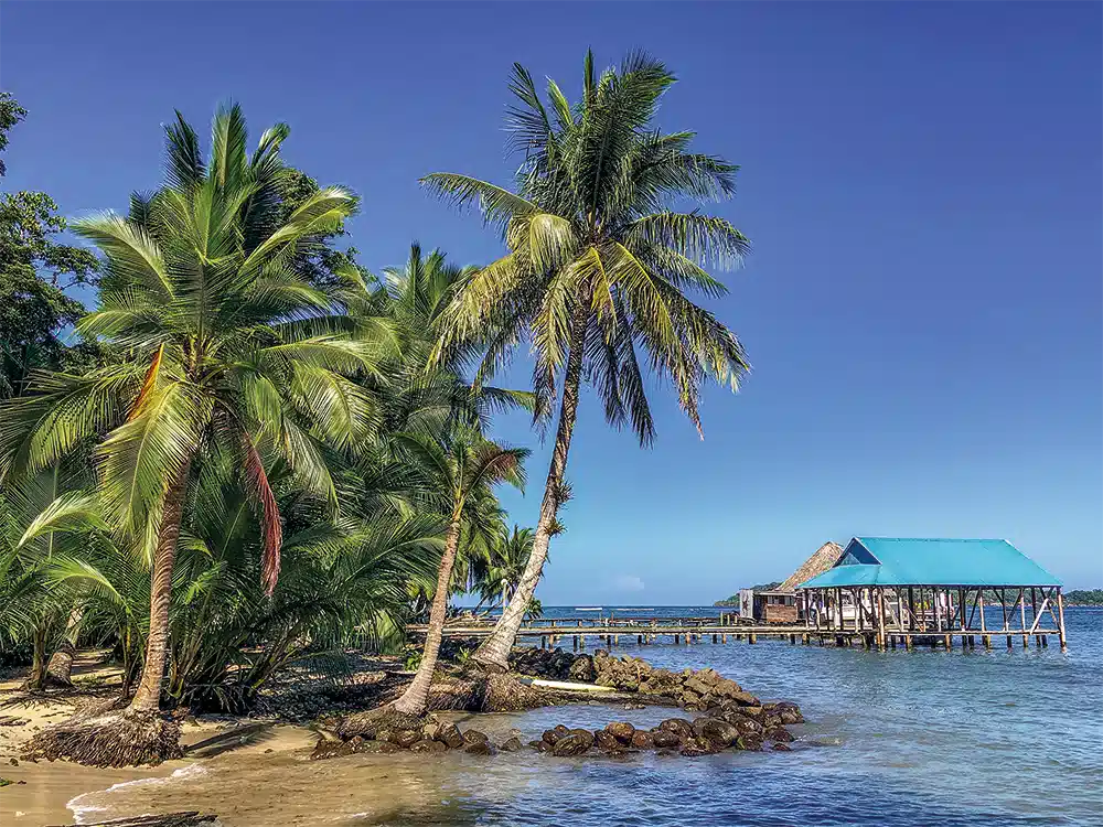 panama-costa-rica-strand-palmen