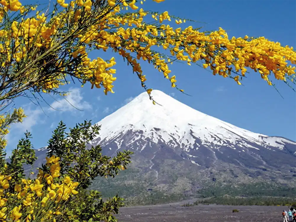 patagonien-vulkan-osorno-petrohue