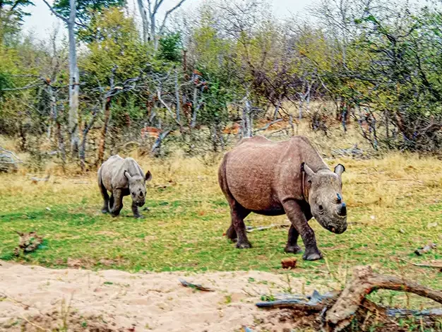 simbabwe-lake-kariba