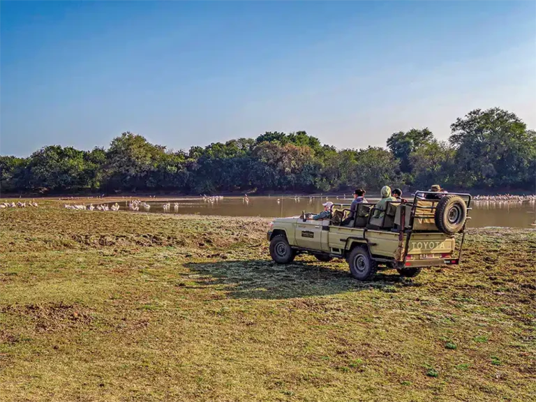 Sambia-Botswana-Rundreise-Safari-Fahrzeug